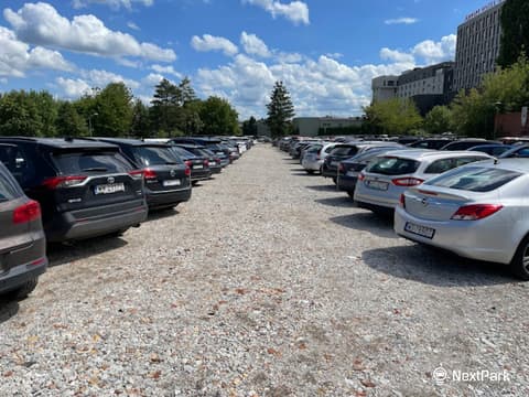 Parking Smile